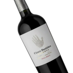 Cinco Sentidos Reserva Malbec (6 botellas x 750cc) - comprar online