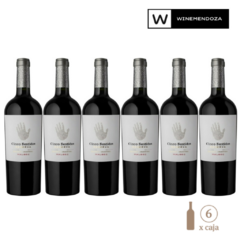 Cinco Sentidos Reserva Malbec (6 botellas x 750cc) - WINEMENDOZA | Comprar vino online en Argentina - Vinoteca online - Vinos Premium