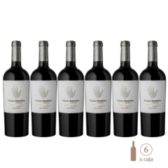 Cinco Sentidos Reserva Malbec (6 botellas x 750cc)