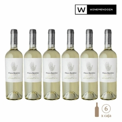 Cinco Sentidos Reserva Sauvignon Blanc (6 botellas x 750cc) - WINEMENDOZA | Comprar vino online en Argentina - Vinoteca online - Vinos Premium