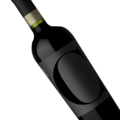 Colosso Malbec Estuche (4 botellas x 750 cc) - comprar online