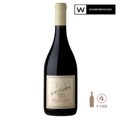 DV Catena Tinto Histórico Malbec-Petit Verdot Apelación Paraje Altamira (4 botellas x 750cc) - tienda online