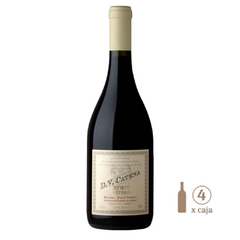 DV Catena Tinto Histórico Malbec-Petit Verdot Apelación Paraje Altamira (4 botellas x 750cc) - WINEMENDOZA | Comprar vino online en Argentina - Vinoteca online - Vinos Premium