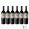 El Enemigo Cabernet Franc (6 botellas x 750cc)