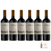 Finca Flichman Estate Malbec (6 botellas x 750 cc)