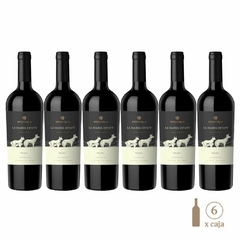 Seis botellas de vino tinto Huentala La Isabel Estate Malbec, con etiquetas que destacan la región de Valle de Uco, Mendoza, Argentina.