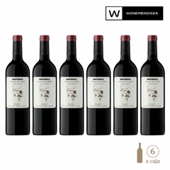 iMatorras Apelación San José Malbec (6 botellas x 750cc) - WINEMENDOZA | Comprar vino online en Argentina - Vinoteca online - Vinos Premium