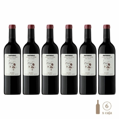 Seis botellas de vino tinto iMatorras Apelación San José Malbec, cada una de 750cc, con etiquetas elegantes y un diseño minimalista.