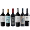 Combo Vinos Imperdibles Ahorro (6 botellas x 750cc)