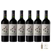 Seis botellas de vino Kaiken Desbandado Cabernet Franc, con etiquetas que muestran aves y el nombre del vino.