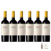 Seis botellas de vino Kaiken Estate Malbec en fila, con etiquetas claras y tapa amarilla.