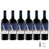 Abducido Pinot Noir (6 botellas x 750 cc)
