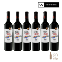 Huelga de Amores Malbec (6 botellas x 750 cc) - WINEMENDOZA | Comprar vino online en Argentina - Vinoteca online - Vinos Premium