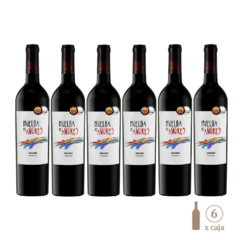 Huelga de Amores Malbec (6 botellas x 750 cc)