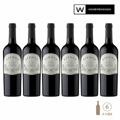 Pipone Malbec (6 botellas x 750cc) - WINEMENDOZA | Comprar vino online en Argentina - Vinoteca online - Vinos Premium