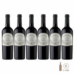 Pipone Malbec (6 botellas x 750cc)