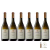 Seis botellas de vino Salentein Primus Chardonnay, cada una de 750cc, con etiquetas claramente visibles.