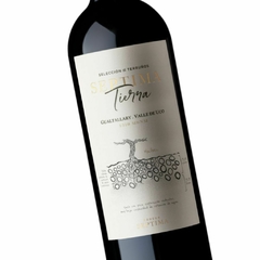 Séptima Tierra Gualtallary (6 botellas x 750 cc) - comprar online