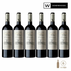 Séptima Tierra Gualtallary (6 botellas x 750 cc) - WINEMENDOZA | Comprar vino online en Argentina - Vinoteca online - Vinos Premium