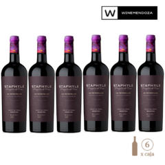 Staphyle Dragón de Vino Malbec (6 botellas x 750 cc) - WINEMENDOZA | Comprar vino online en Argentina - Vinoteca online - Vinos Premium