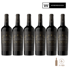 Staphyle Premium Cabernet Sauvignon (6 botellas x 750 cc) - WINEMENDOZA | Comprar vino online en Argentina - Vinoteca online - Vinos Premium