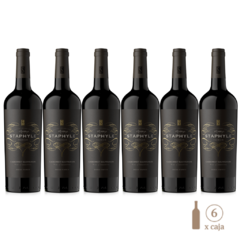 Staphyle Premium Cabernet Sauvignon (6 botellas x 750 cc)