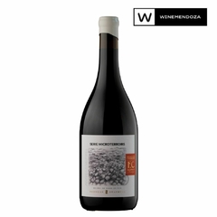 Staphyle Microterrois Malbec Valle de Uco Caja de Madera (3 botellas x 750 cc) en internet