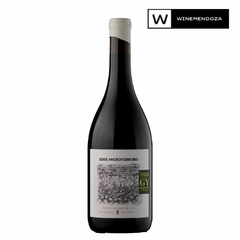 Staphyle Microterrois Malbec Valle de Uco Caja de Madera (3 botellas x 750 cc) - WINEMENDOZA | Comprar vino online en Argentina - Vinoteca online - Vinos Premium