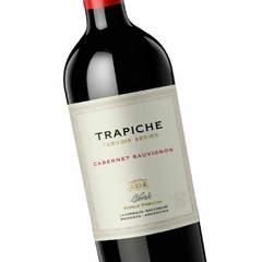 Trapiche Terroir Series Cabernet Sauvignon Finca Laborde (6 botellas x 750 cc) - comprar online