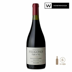 Zuccardi Polígono Paraje Altamira Malbec (6 botellas x 750cc) en internet