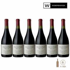 Zuccardi Polígono Paraje Altamira Malbec (6 botellas x 750cc) - WINEMENDOZA | Comprar vino online en Argentina - Vinoteca online - Vinos Premium