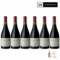 Zuccardi Polígono San Pablo Malbec (6 botellas x 750cc) - WINEMENDOZA | Comprar vino online en Argentina - Vinoteca online - Vinos Premium