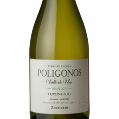 Zuccardi Polígono Tupungato Semillon (6 botellas x 750cc) - comprar online