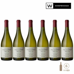 Zuccardi Polígono Tupungato Semillon (6 botellas x 750cc) - WINEMENDOZA | Comprar vino online en Argentina - Vinoteca online - Vinos Premium