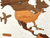 Wooden Travel Map World Puzzle - Tricolor Retro - comprar en línea