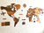 Wooden Travel Map World Puzzle - Tricolor Retro - Gift Mexico