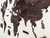 Wooden Travel Map World - Chocolate - comprar en línea