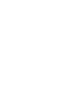 ERVA MATE SANTO ANTÔNIO