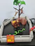 Jardim Zoológico Playset Zoo City Life Playmobil 5969 - loja online