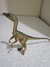 Compsognathus