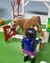 Playmobil Country 6147 Super Set Parque Dos Cavalos - Brecho d Brinquedos