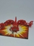 Bakugan Trap Scorpion Pyrus (Paralelo)