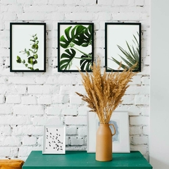 Set x3 cuadros plantas