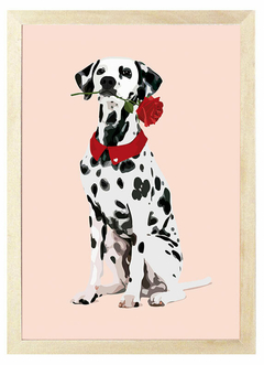 Cuadro Dálmata Rosa