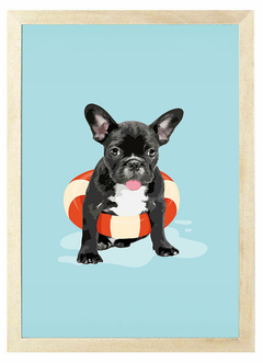 Cuadro Bulldog Frances