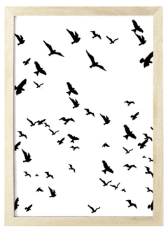 Cuadro Sombra Pájaros