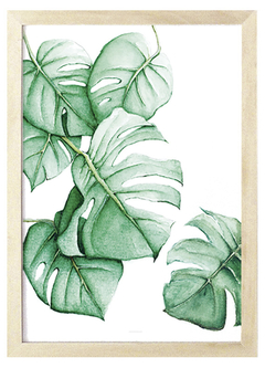 Cuadro monstera acuarela