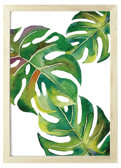 Cuadro monstera