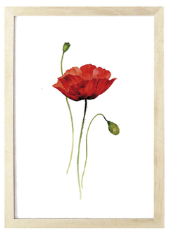 Cuadro flor roja