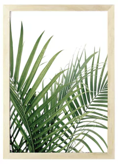 Cuadro palmera en blanco